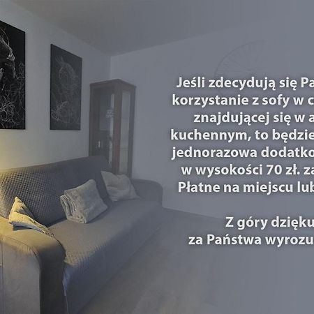 Spokojny Wypoczynek 5 オストルフ・ビエルコポルスキ エクステリア 写真